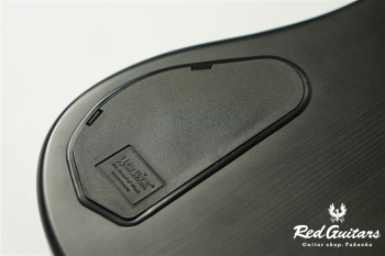 RockBass STREAMER LX 5